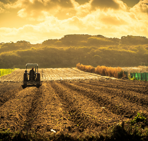 Devlet Destekli Tarım Sigortaları